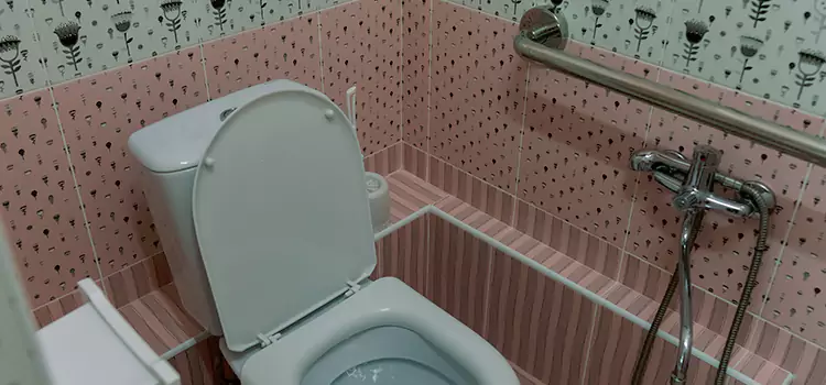 Meeting Diverse Needs With Accessible Restroom Solutions in Kendall West, FL